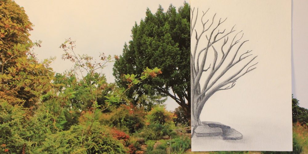 Charlotte Laquai Baum
