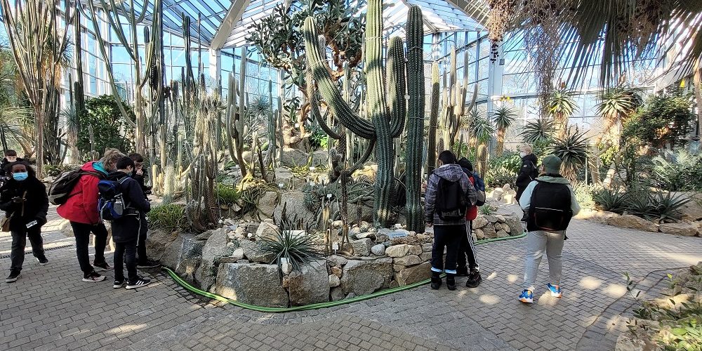 Beitragsbild Palmengarten