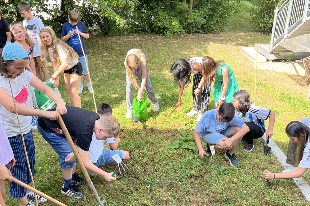 Beitragsbild Umweltschule