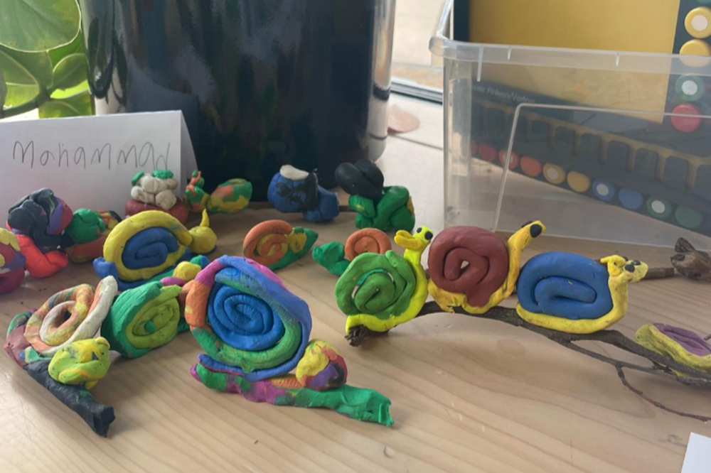 Beitragsbild Praktikum 9G 2025