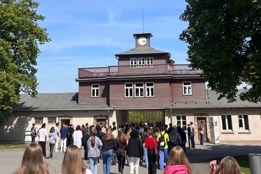 Beitragsbild Buchenwald 2025