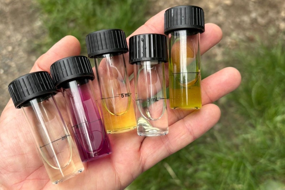 Beitragsbild Bio LK Q2 Exkursion 06_2025