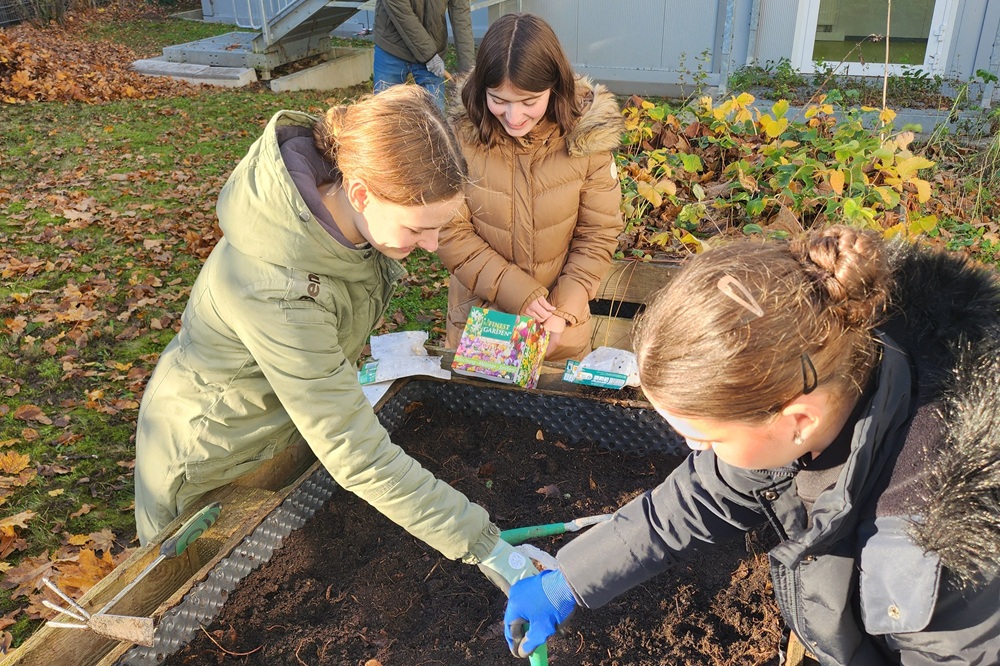 Beitragsbild Urban Gardening 2024_25