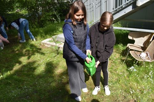 Blühstreifen 2023 (14)