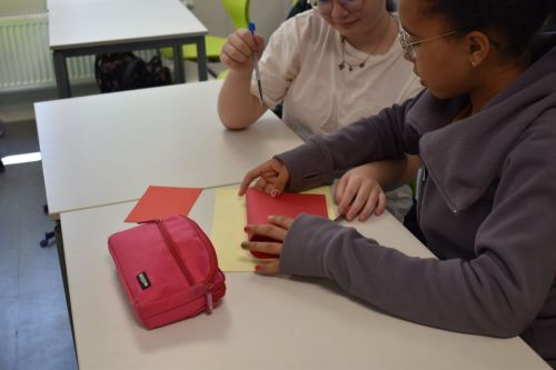 Blühstreifen 2023 (15)