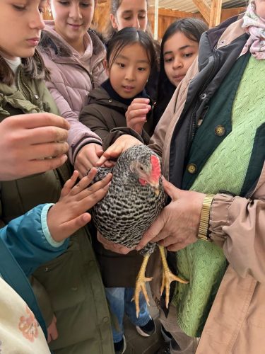 Lernbauernhof 6G (4)