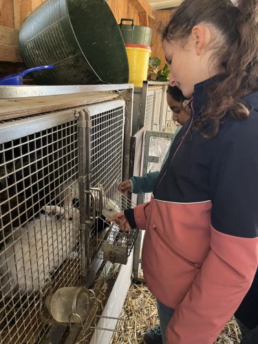 Lernbauernhof 6G (6)