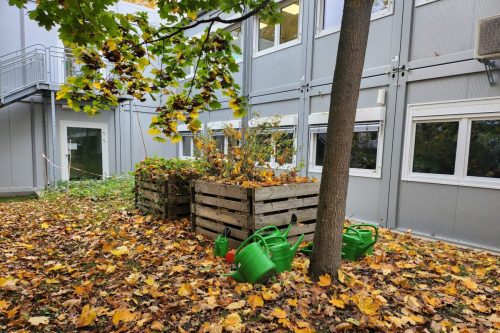 Urban Gardening 2024_25 (1)