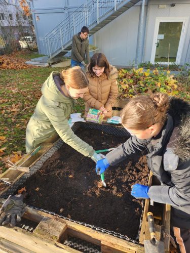 Urban Gardening 2024_25 (2)