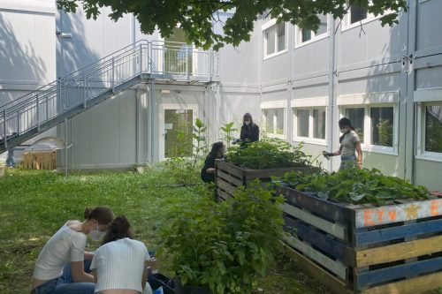 Urban Gardening 2024_25 (5)