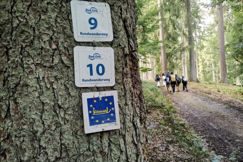 Wegscheide 2025 (3)